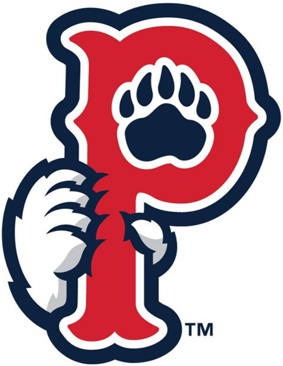 Pawtucket Red Sox 2015-Pres Cap Logo vinyl decal